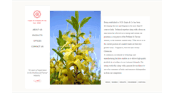 Desktop Screenshot of guptaandco.com